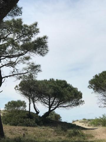 Oh! Campings - La Tamarissiere Agde Zewnętrze zdjęcie