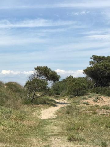 Oh! Campings - La Tamarissiere Agde Zewnętrze zdjęcie