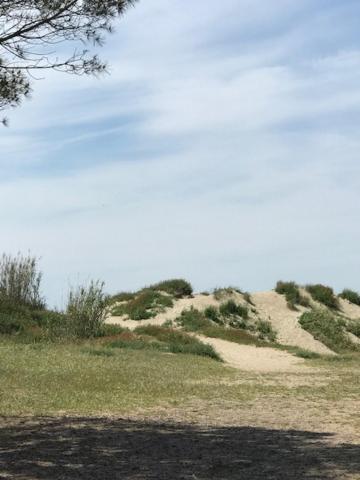 Oh! Campings - La Tamarissiere Agde Zewnętrze zdjęcie